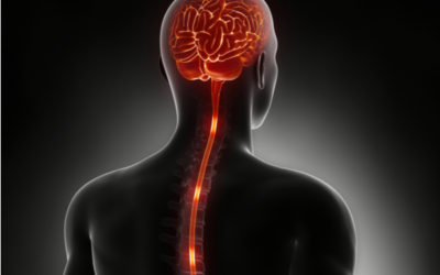 What is a Spinal Cord Stimulator?