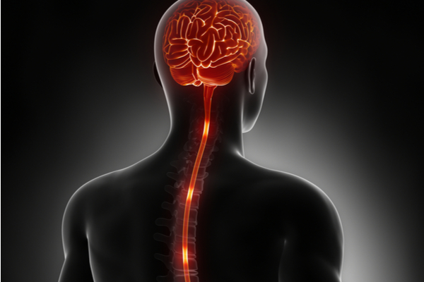 What is a Spinal Cord Stimulator?